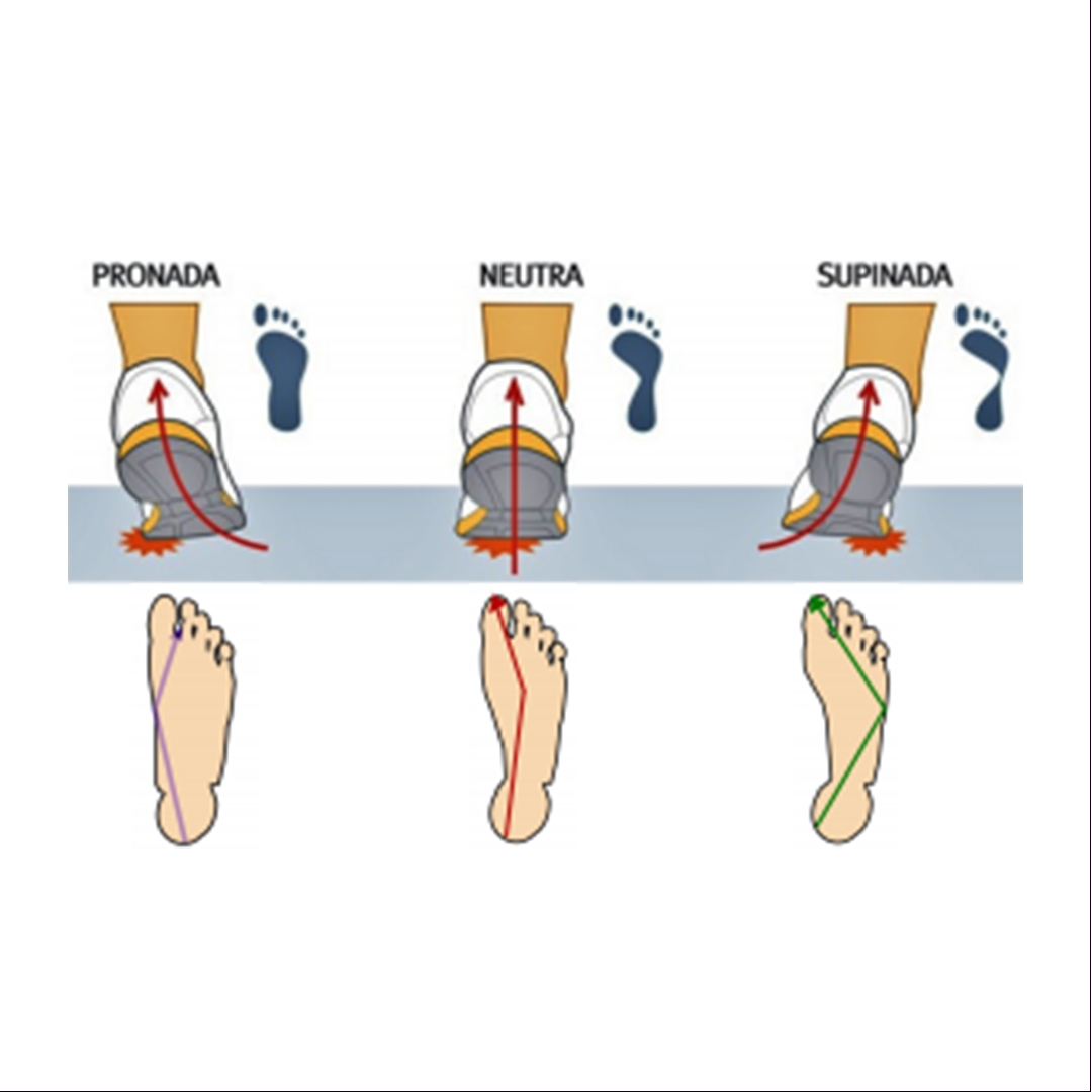 Pisada pronada supinada cheap e neutra